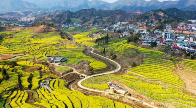 微信截图_20210120165900.png
